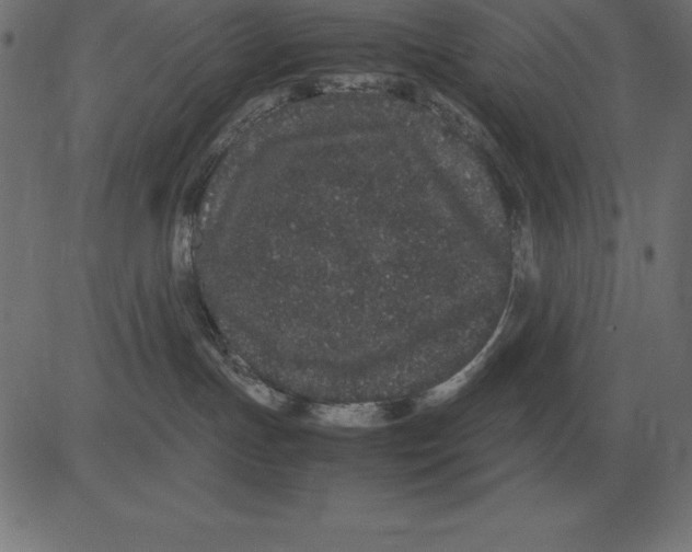 X0000081350191200702020124