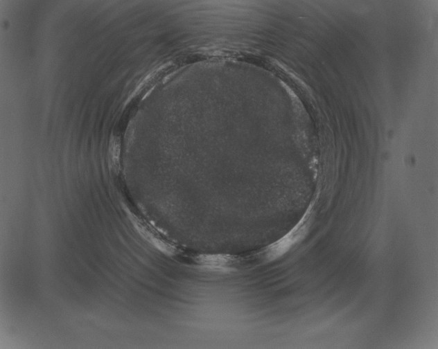 X0000081350192200702020124