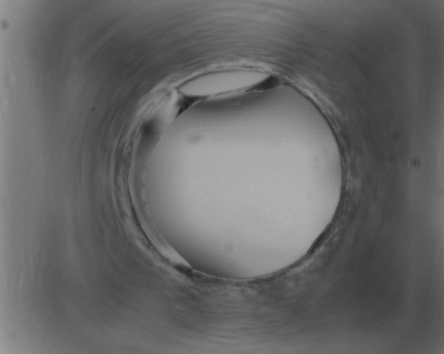 X0000081350193200702020123