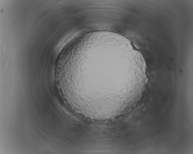 X0000081350194200702020123