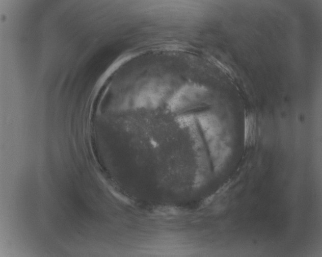 X0000081350195200702020123