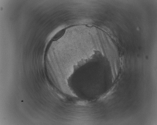 X0000081350196200702020123