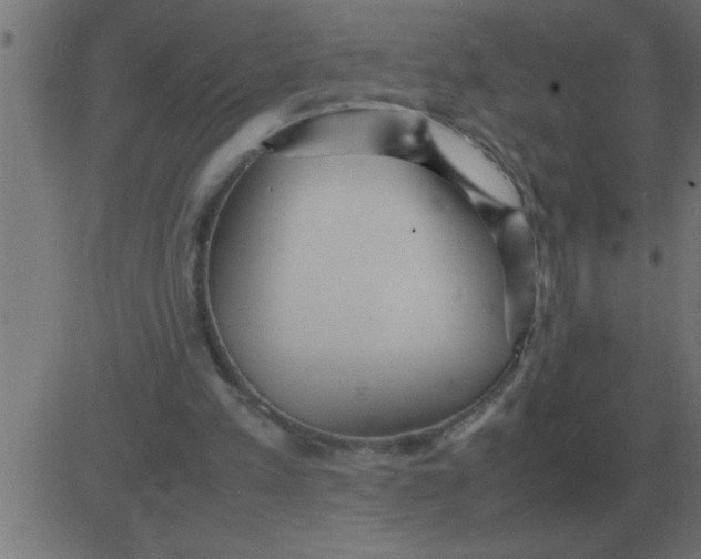 X0000081350197200702020123