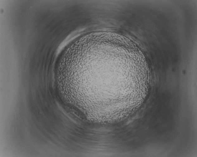 X0000081350198200702020123