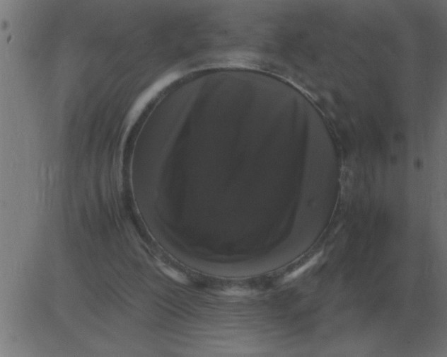 X0000081350200200702020123