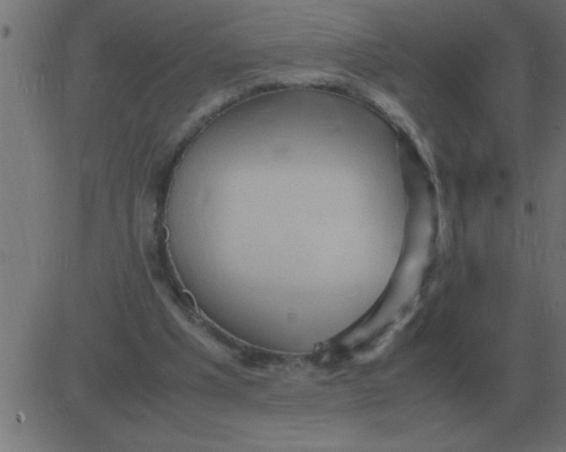 X0000081350201200702020123