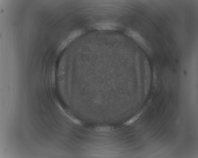 X0000081350202200702020123