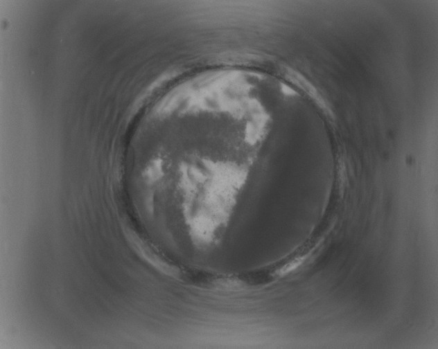 X0000081350203200702020123