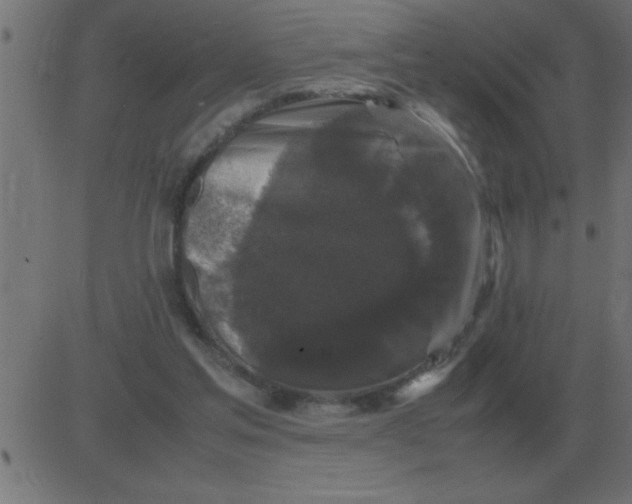 X0000081350205200702020123