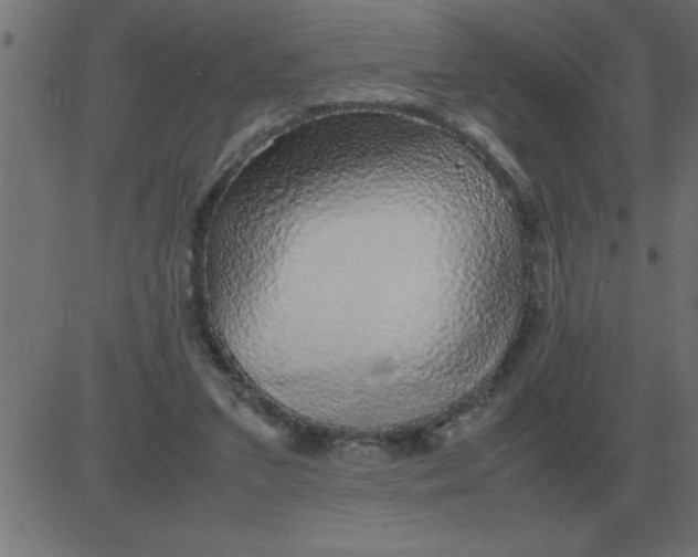 X0000081350207200702020123