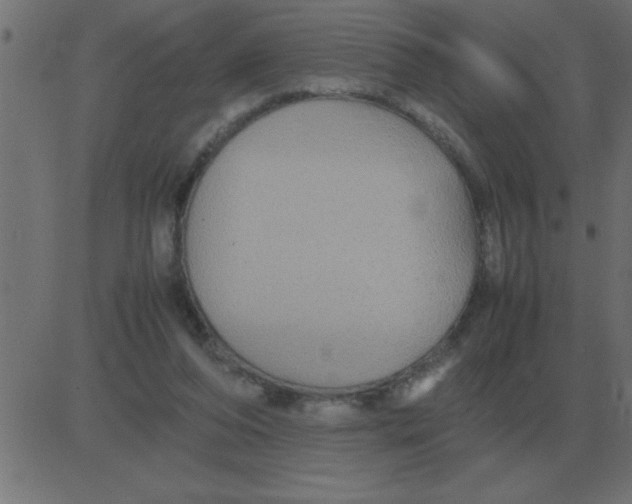 X0000081350208200702020123