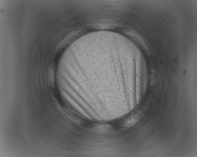 X0000081350210200702020123