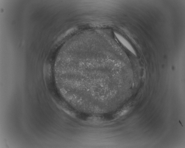 X0000081350211200702020123