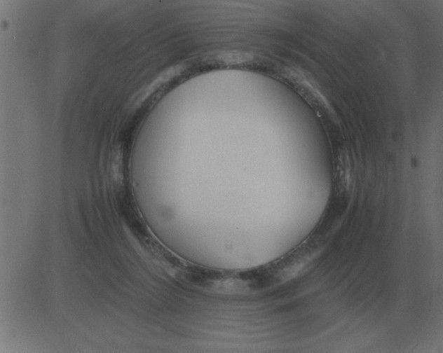 X0000081350212200702020123