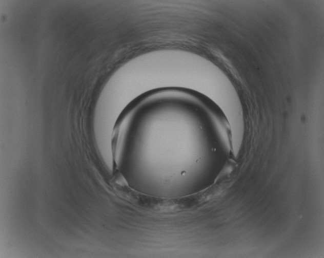 X0000081350213200702020123