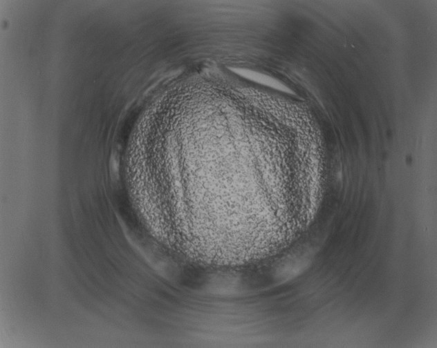 X0000081350214200702020123