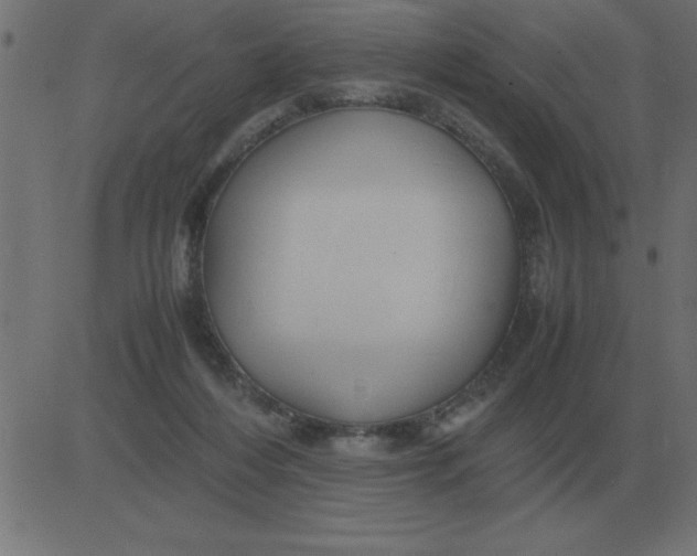 X0000081350216200702020122