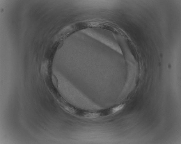 X0000081350217200702020122