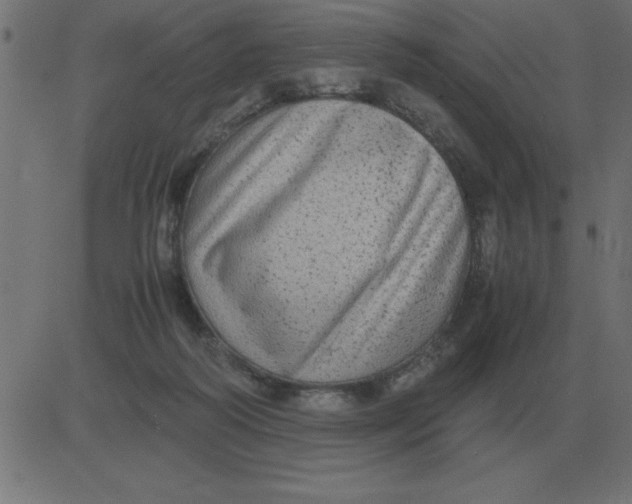 X0000081350218200702020122