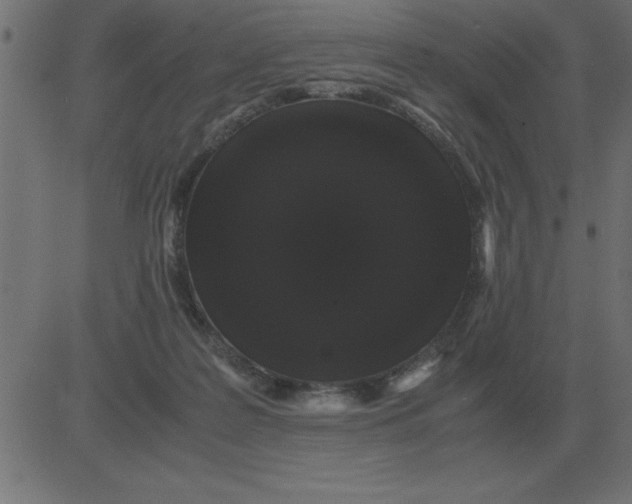 X0000081350219200702020122