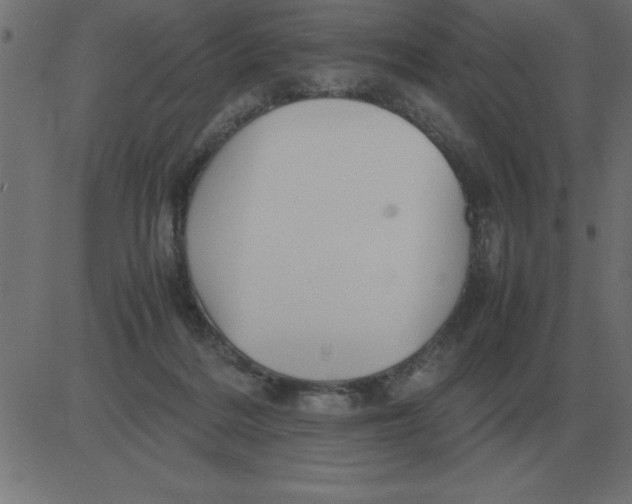 X0000081350220200702020122