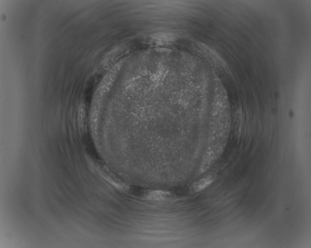 X0000081350222200702020122