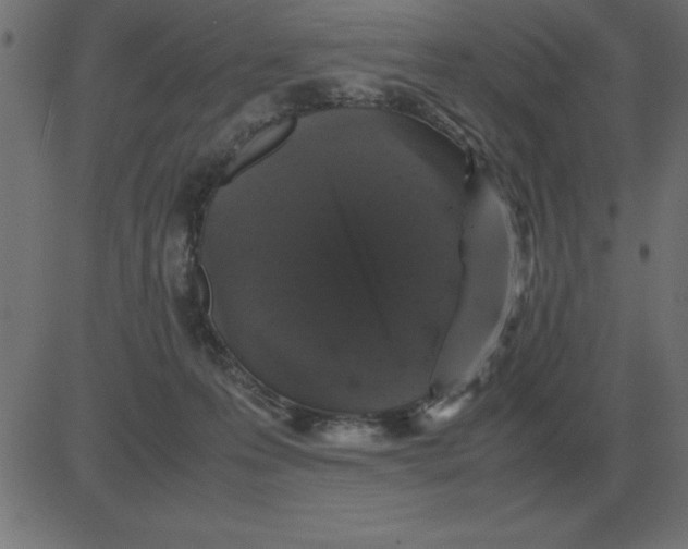 X0000081350223200702020122