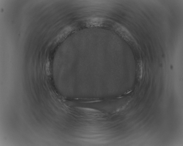 X0000081350224200702020122