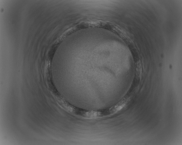 X0000081350225200702020122