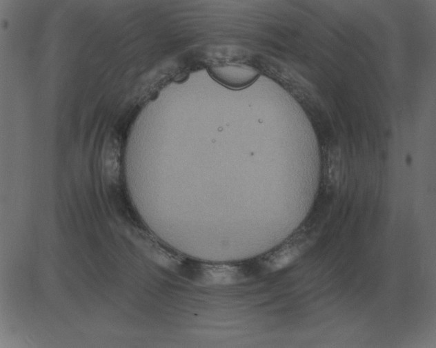 X0000081350226200702020122