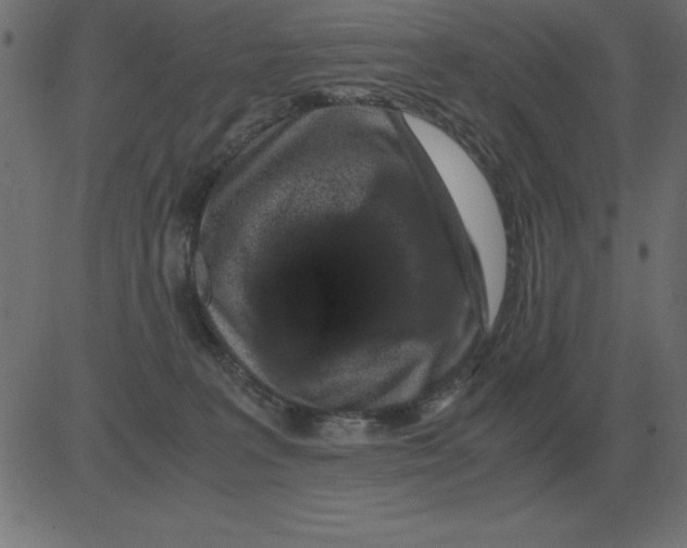 X0000081350227200702020122