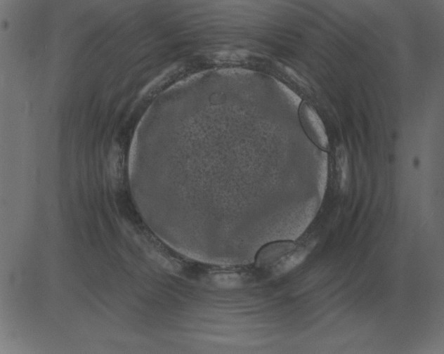 X0000081350228200702020122