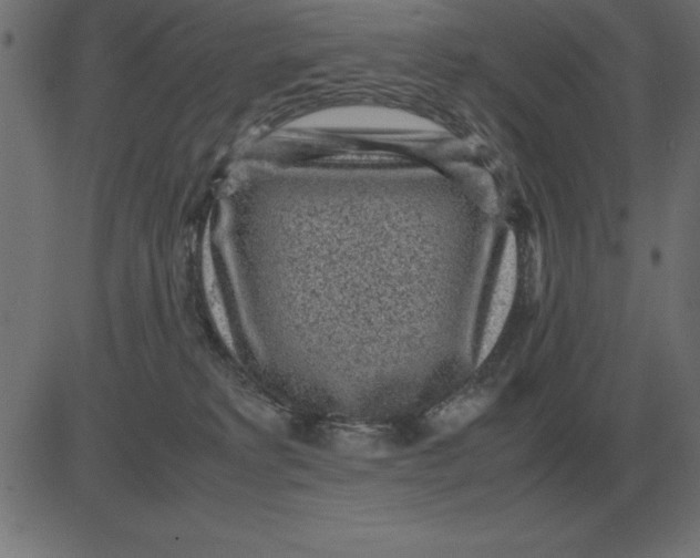 X0000081350229200702020122