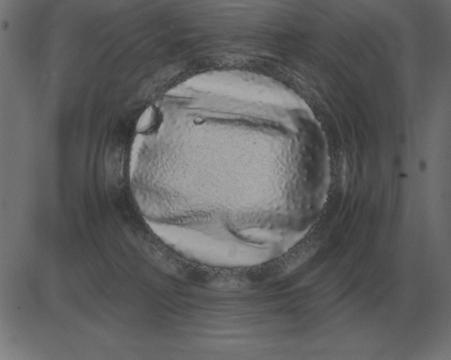 X0000081350230200702020122