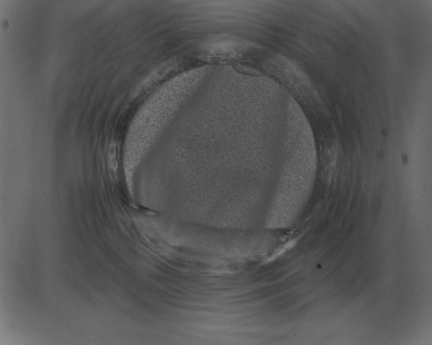 X0000081350232200702020122