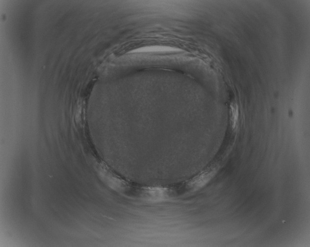 X0000081350233200702020122