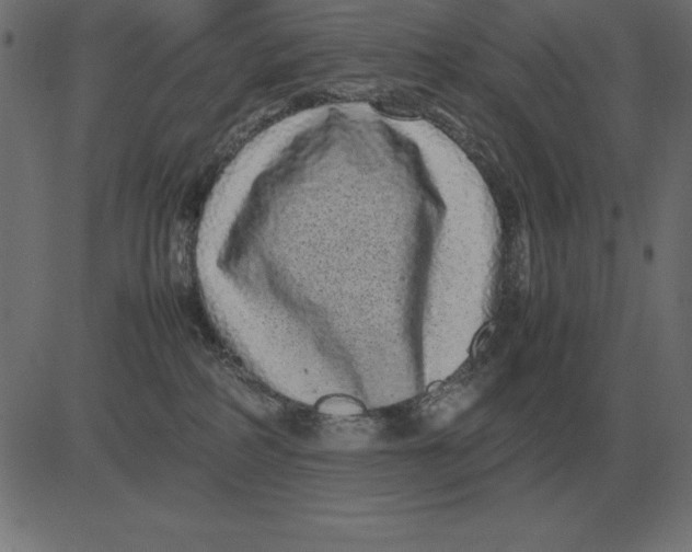 X0000081350234200702020122