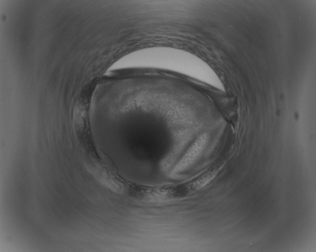 X0000081350235200702020122