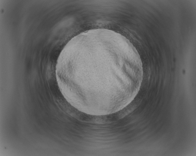 X0000081350236200702020122