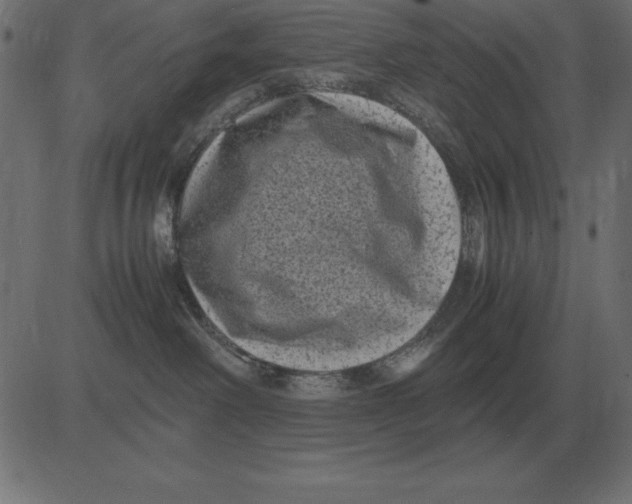 X0000081350238200702020122