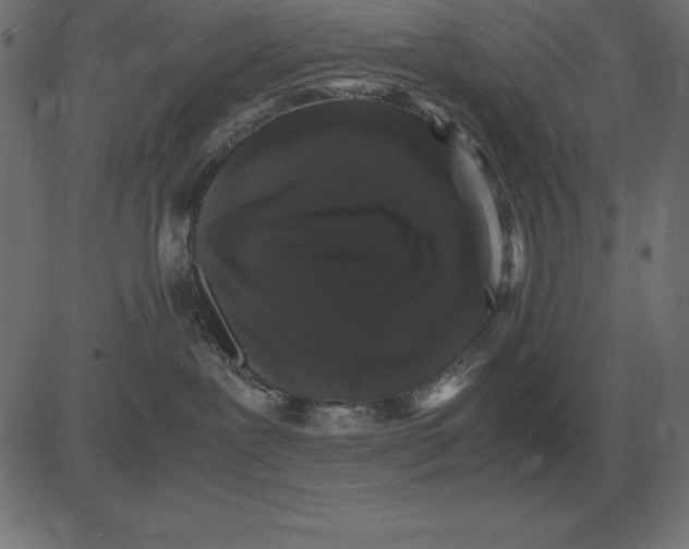 X0000081350239200702020122