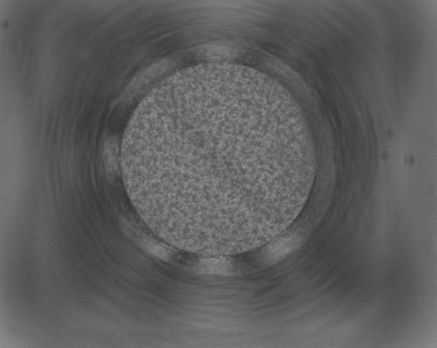 X0000081350240200702020122