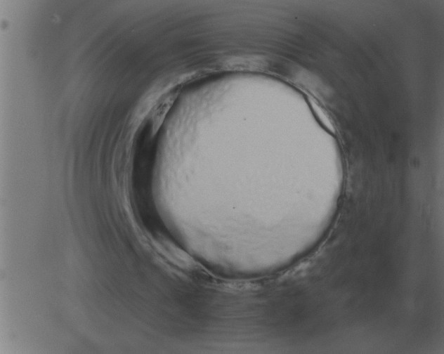 X0000081350241200702020121