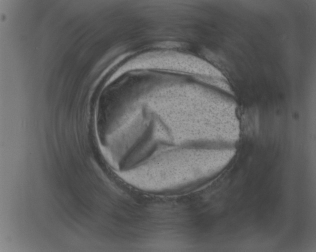 X0000081350243200702020121