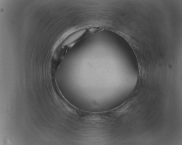 X0000081350244200702020121