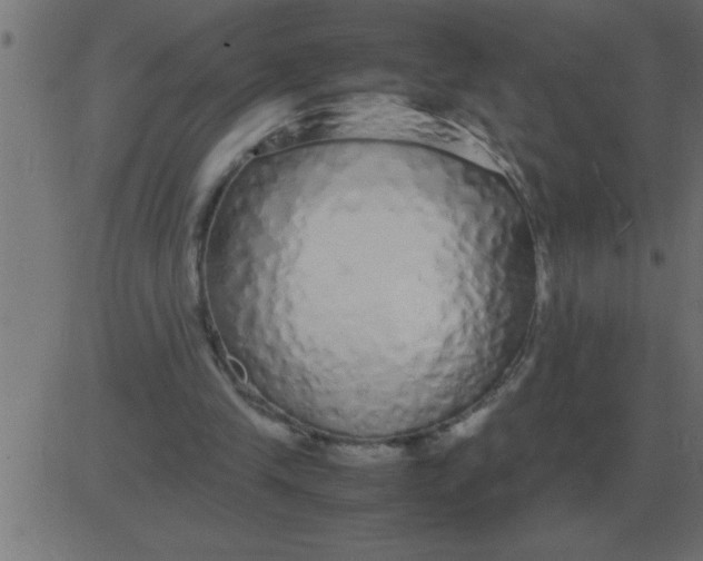 X0000081350245200702020121