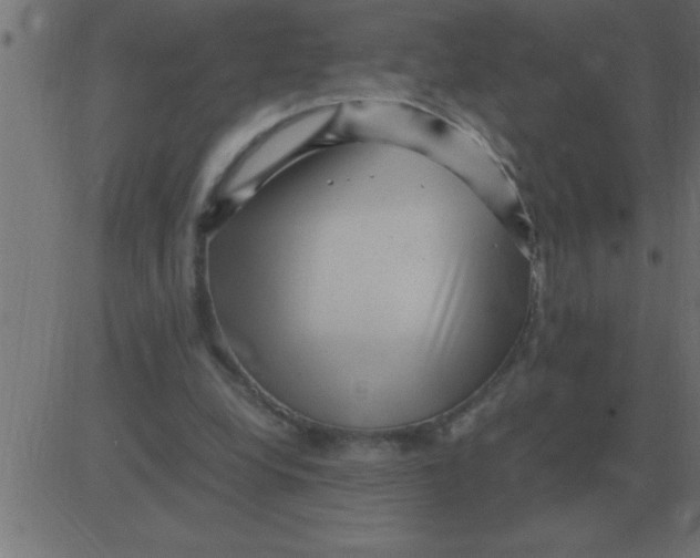 X0000081350248200702020121