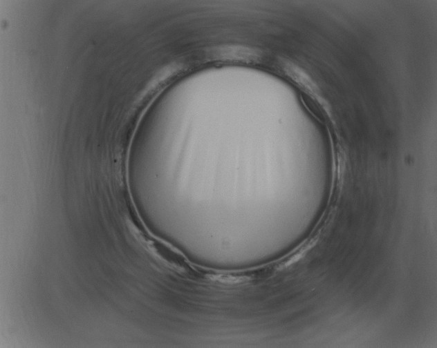 X0000081350249200702020121