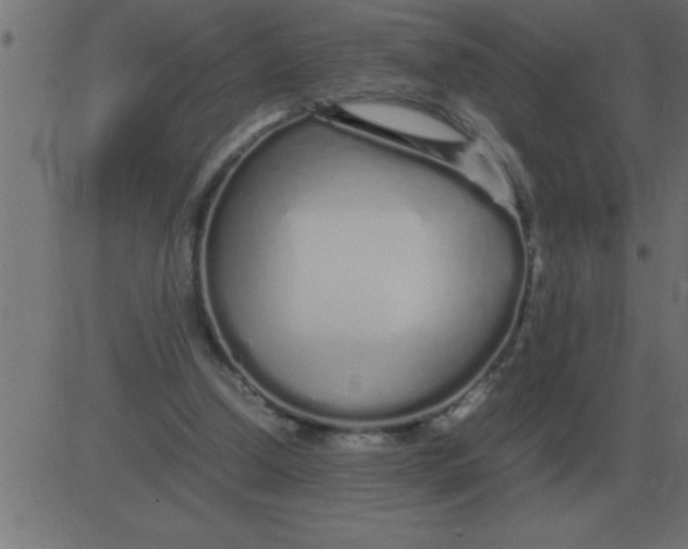 X0000081350250200702020121