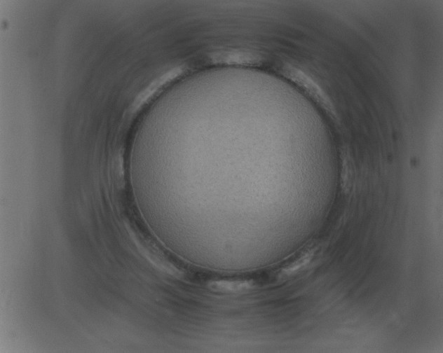 X0000081350251200702020121